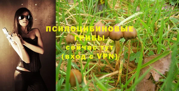 ешки Осинники