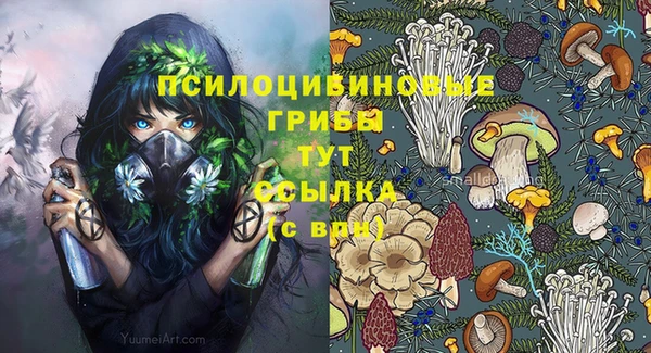 Альфа ПВП Алексин