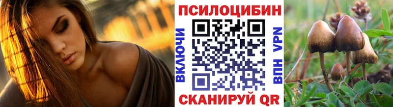 купить наркотик  Асино  Псилоцибиновые грибы мицелий 
